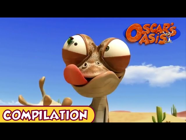 Oscar's Oasis - DECEMBER COMPILATION [ 25 MINUTES ] 