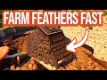 Grounded: How to Get Crow Feathers FAST