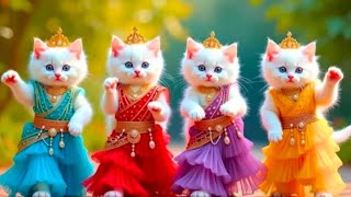 बिल्ली का डांस |Cat videos |funnykittens dance |Videos  for cats billidance |#dancingcat #cat