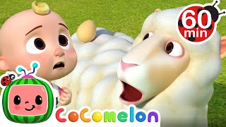 Sing Humpty Dumpty | Animals for Kids | Animal Cartoons | Funny Cartoons | Learn about Animals