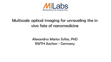 Multiscale optical imaging for unraveling the in vivo fate of nanomedicine