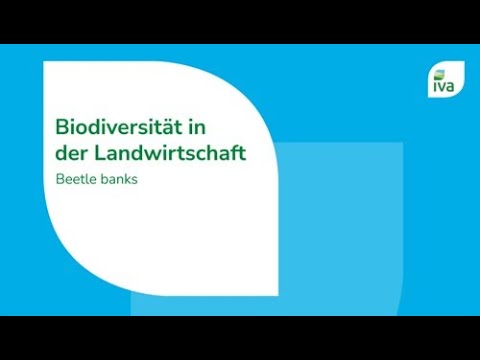 Ökologischer Pflanzenschutz: Wie Beetle Banks nützliche Insekten fördern