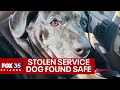 Stolen service dog reunited with owner