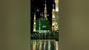 سورة الضحى - بصوت القارئ سالم الرويلي - تلاوة خاشعة || أرح سمعك وقلبك 🎧💜🌴| .✿