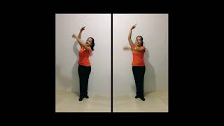 Basic Folk Dance Steps - Salok