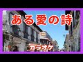 ある愛の詩【カラオケ】