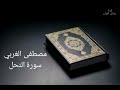 مصطفى الغربي سورة النحل 
