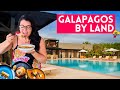 Galapagos Land Adventure in Puerto Ayora | ECUADOR 2022