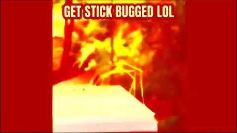 Stick bug earrape