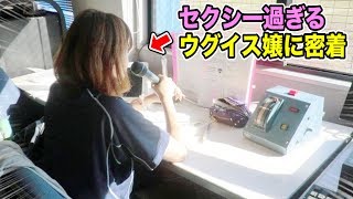 話題のセクシー過ぎるウグイス嬢に会ってきた…マイナビASG2019参戦決定SP企画！