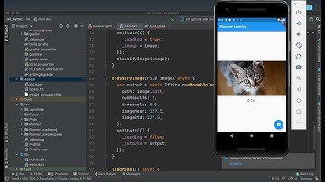 1   TensorFlow Lite & Flutter   Machine learning model | for iOS and Android