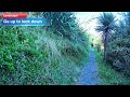 Journey Elsewhere - Go up to look down
