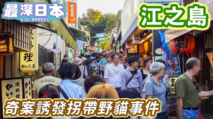 【最深日本】江之島特輯 江之電Slam Dunk聖地擠滿亞洲遊客 | 情侶到江之島拍拖必分手城市傳聞 | 八爪魚煎餅白魚仔丼名物 | 龍戀之鐘傳說故事【今昔城市物語】 - 天天要聞