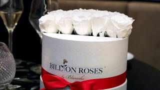 BILLION ROSES RINGBOX BY BLANCHE