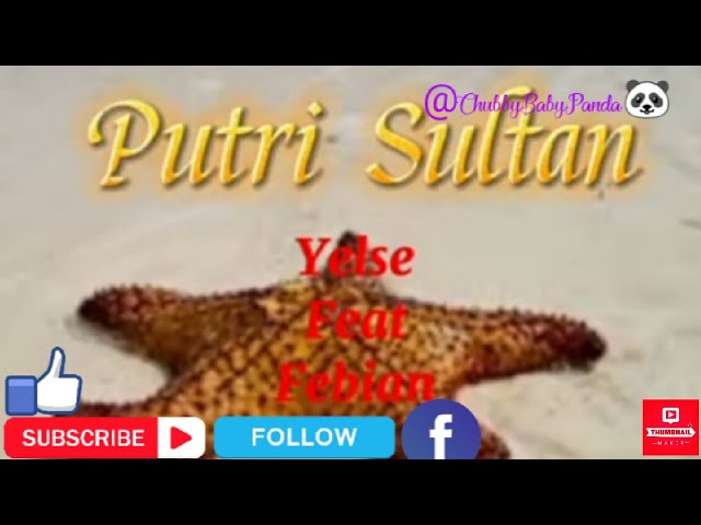 Febian Feat Yelse~Putri Sultan ~Yelse Feat Febian(Pop) class=
