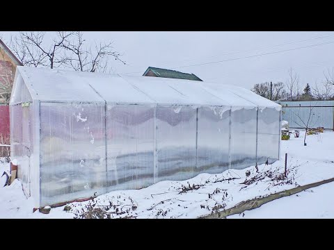 Видео: Помощь в садоводстве при СТР – Сезонное аффективное расстройство и садоводство