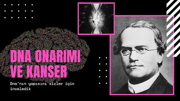 DNA ONARIMI VE KANSER 👩🏻‍🔬👨🏻‍🔬