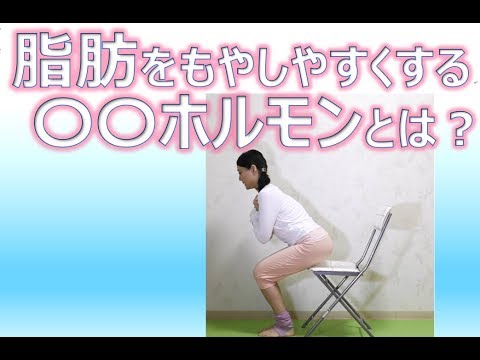 話題の〇〇ホルモン!短時間で脂肪を減らして筋肉量をアップするエクセサイズとは?? スクワット 回数