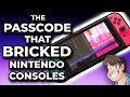 🧱 The Password that BRICKS Nintendo Consoles | Fact Hunt Special | Larry Bundy Jr