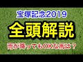 【宝塚記念2019】非根幹距離、道悪でも走れる馬を徹底解説！バケモノ級が1頭。