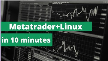 Install Metatrader on Linux - Debian 12 (and save a lot of money)