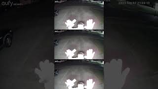 eufy S120 Solar Wall Light Cam Showcase #shorts