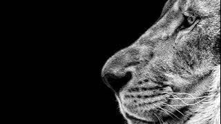 Kiberu & Michelle Weeks - Ufzag (TWINS Acapella Edit)