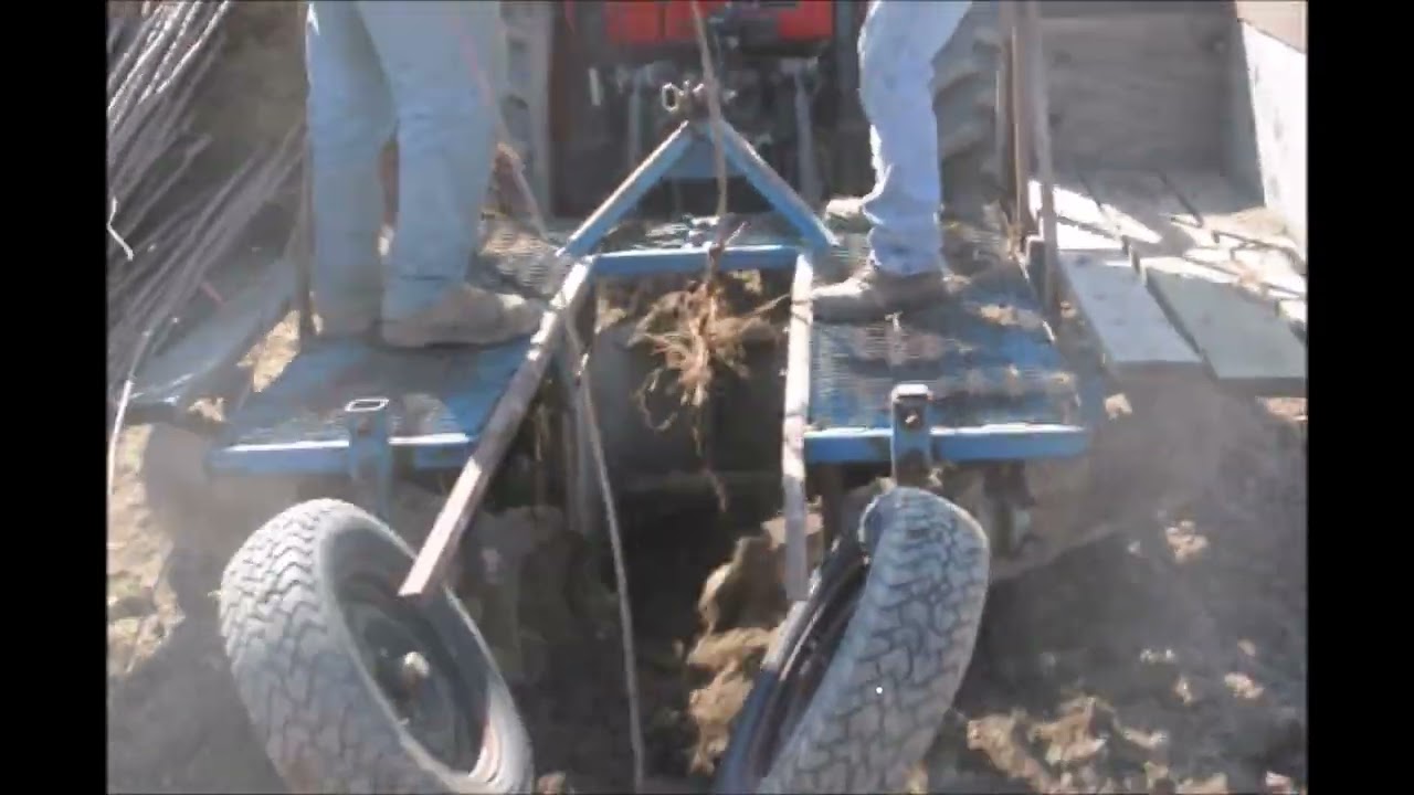 How we grow thousands of trees at Highland Hill Farm YouTube