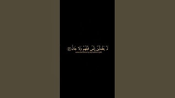 فيهن قاصرات الطرف|ماتيسر من سورة الرحمن:القارئ طارق محمد كروما شاشة سوداء القرآن الكريم