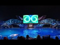 (NYE) Light Up The Night at SeaWorld Orlando