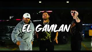 Luis R Conriquez, Tony Aguirre, Peso Pluma - El Gavilán (Audio Oficial)