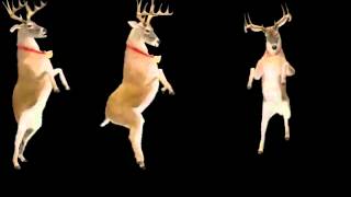 FxGuru-Dancing Reindeer серия #10