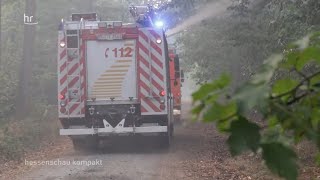 Waldbrandgefahr in Hessen steigt | hessenschau