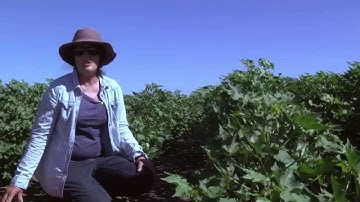 Soil moisture monitoring with the EM38