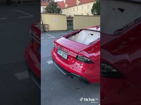 Wait For It Shorts Tiktok Mafia