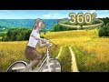 Панорамное Видео 360 VR 4K для очков виртуальной реальности. Велопрогулка на природе samsung gear360