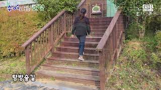[수어로 보는 고령] 대가야역사테마관광지(음성포함)