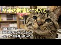 色々質問きていたのでお答えします