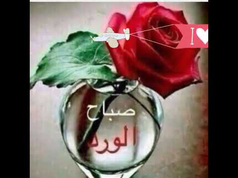 اهلا بها الطل
