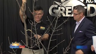 2-1-16 Tree Pruning & Maintenance Workshop