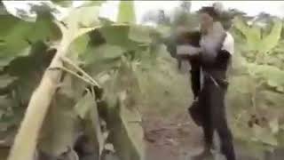 african rambo meme