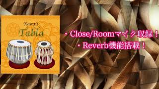 タブラ　Tabla グラスファイバー製タブラだと!? 【Karunya Musicals S.R.I
