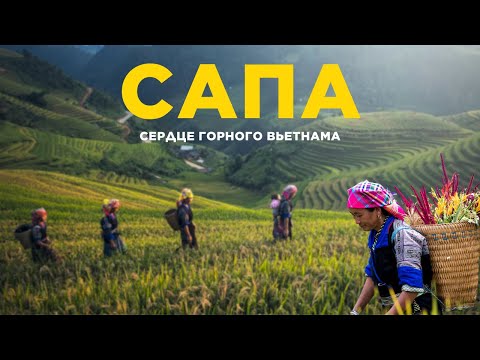 Обложка видео