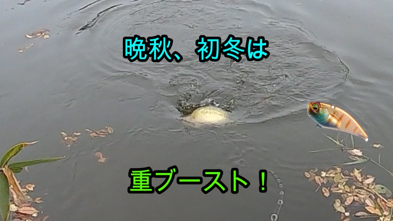 【バス釣り】重いからこそ出来る事！