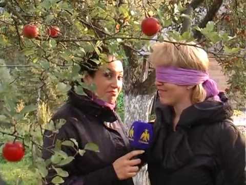 "Країна на запах". Косів