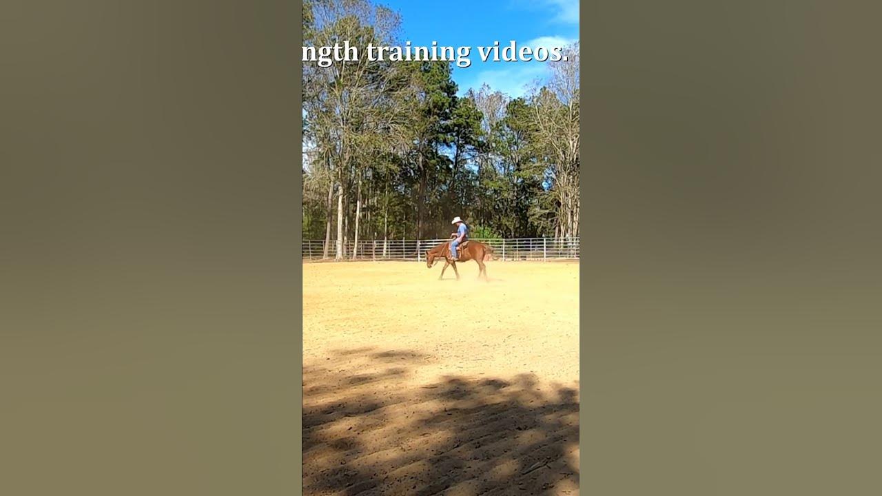 Flying lead changes made simple and easy. YouTube