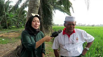 Uploads From Ancom Crop Care Sdn Bhd Youtube