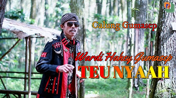 TEU NYAAH - WARDI HAHEY GUMASEP || ALBUM SINGLE CALUNG GUMASEP LAGU ADIS CHOLAY