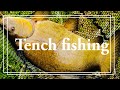 Tench fishing ireland first tench of the year