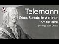 Telemann: Oboe Sonata in A minor, TWV 41:a3: II. Adagio | Maria Chiossi